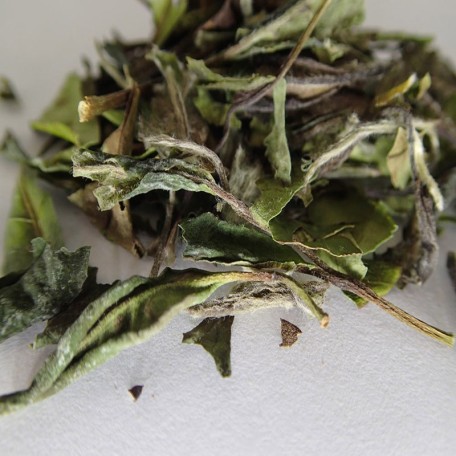 Pai Mu Tan (Bai Mu Dan) Biologico Conf. 50/100/150/250 g