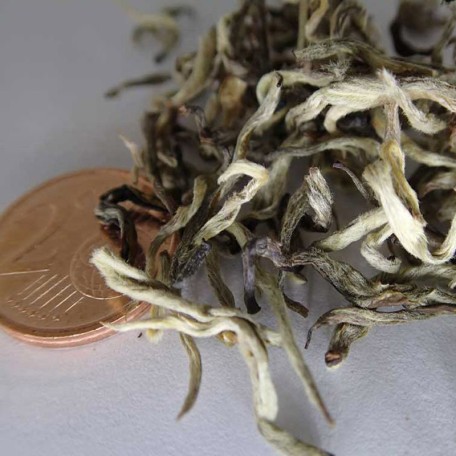 White Butterfly - Bai Hu Die Conf. 30/50/100 g