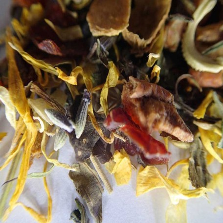 Tisana Lavanda e Finocchio Conf. 75/150/250 g