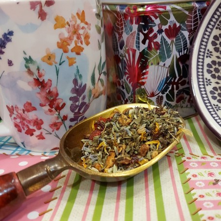 Tisana Lavanda e Finocchio Conf. 75/150/250 g