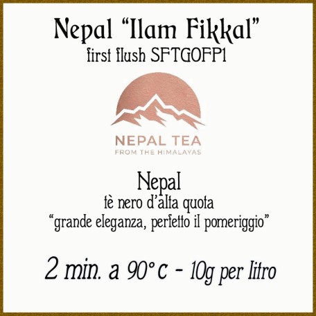 Nepal Ilam Fikkal STFGFOP1 first flush Conf. 75/150/250 g